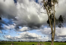 PG电子试玩-摩洛哥瓦赫达伤病名单更新，关键球员状态备受关注