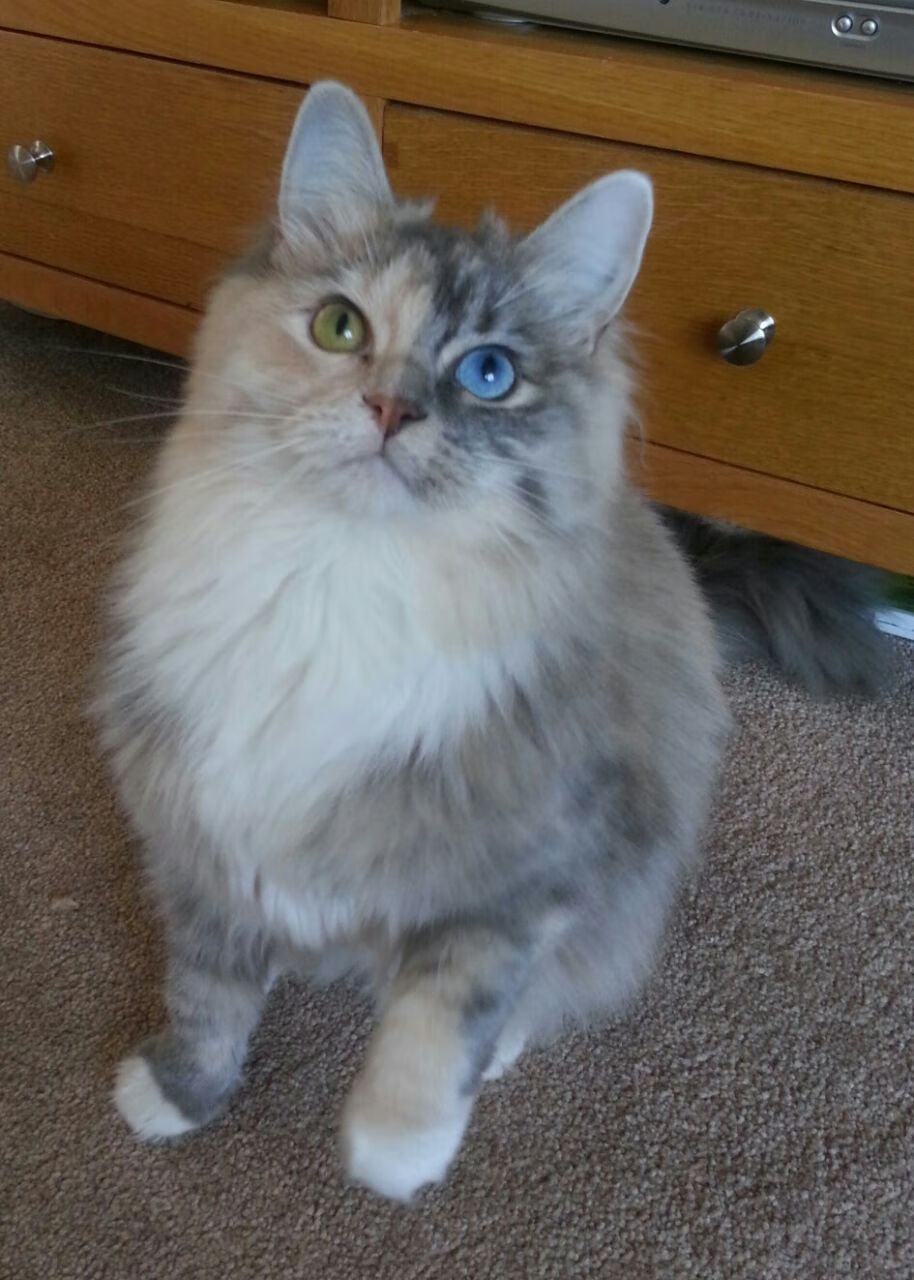 PG游戏官网登录入口-塔图姆爆发，国王强势晋级，深圳队—三线并进的竞技启示